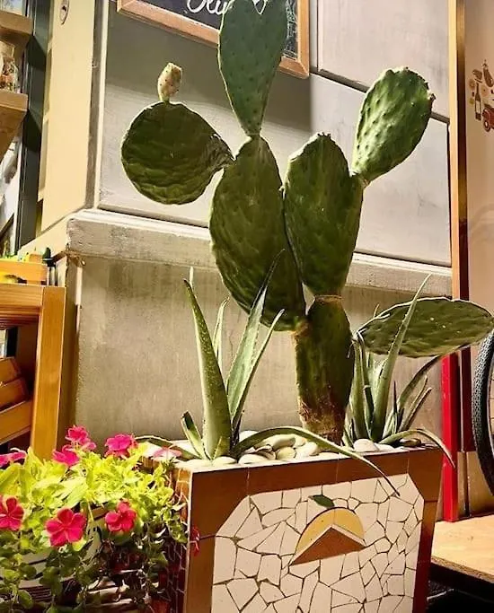 Appartamento La Casa Di Eva Palermo